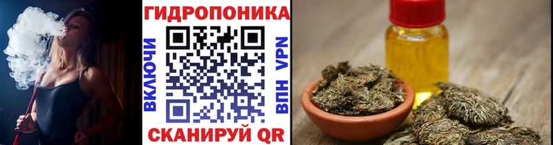 Где найти наркотики Суджа ГАШ  Cocaine  Псилоцибиновые грибы  Бошки Шишки  Мефедрон 