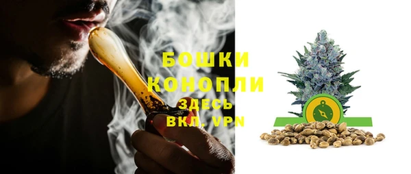 дживик Михайловск