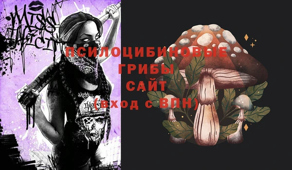 дживик Михайловск