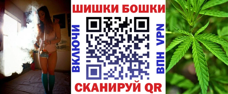 Бошки Шишки сатива  Суджа 